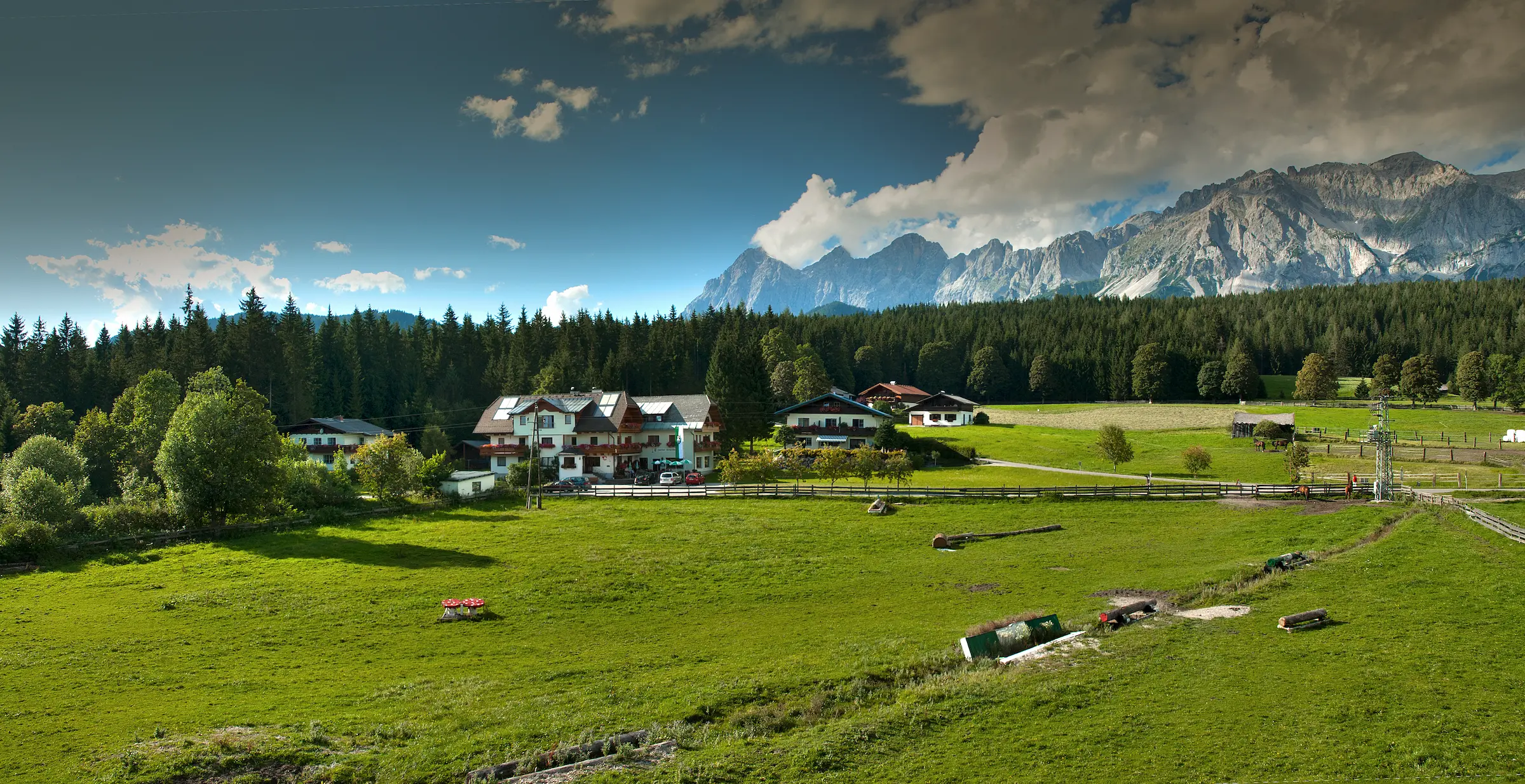 Summer meadow with houses in Ramsau am Dachstein