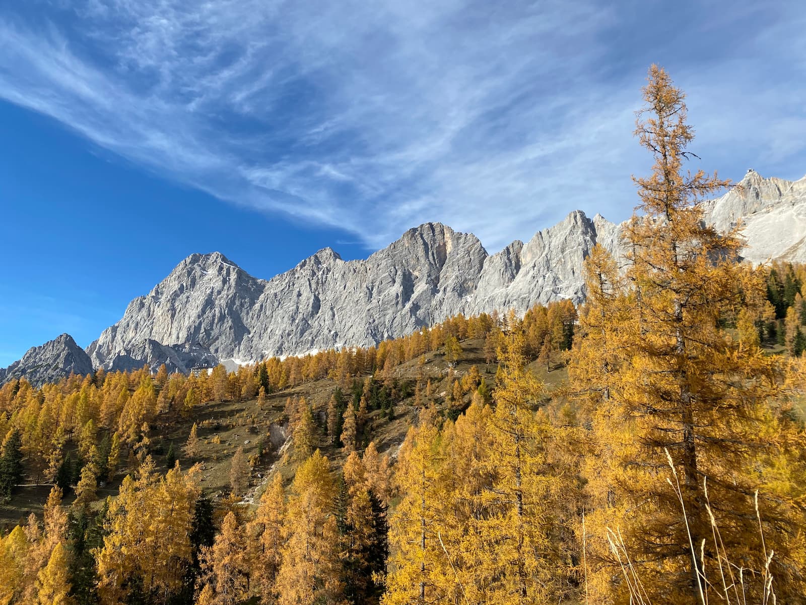 Dachsteinmassiv mit herbstlichen Lärchen